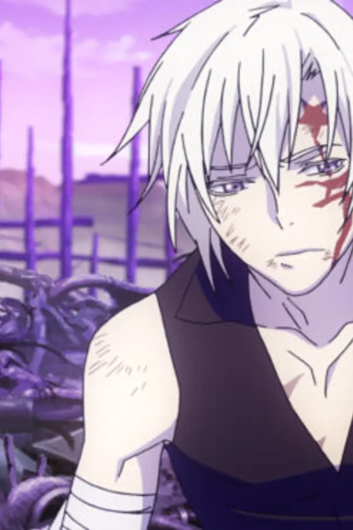 D.Gray-man Hallow