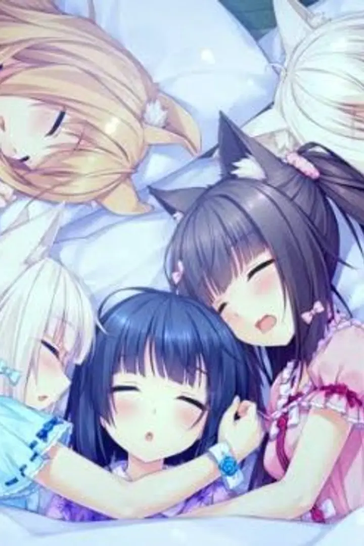 Nekopara