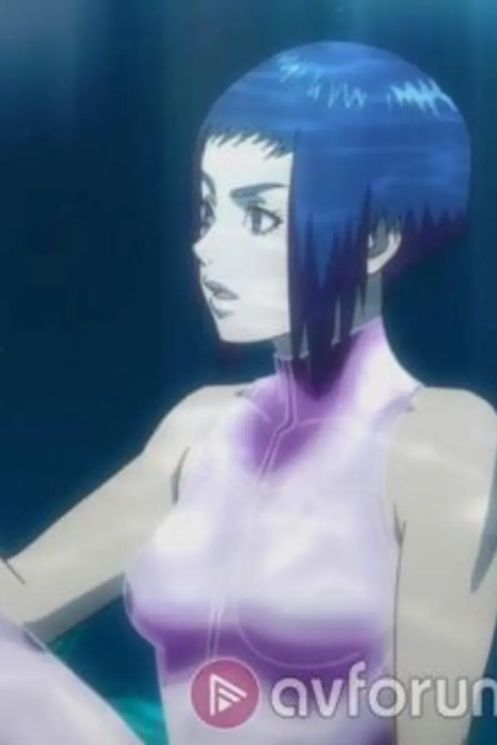 Koukaku Kidoutai Arise: Ghost in the Shell - Border:2 Ghost Whispers