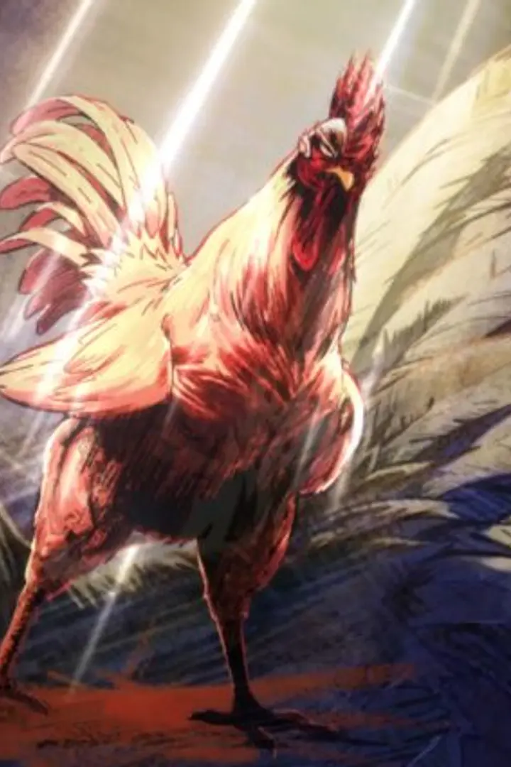 Niwatori Fighter Sub Indo : Episode 1 - 12 (End)