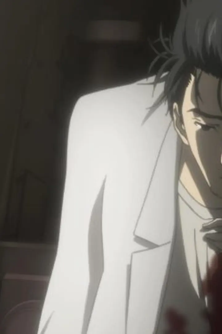 Steins;Gate: Kyoukaimenjou no Missing Link - Divide By Zero