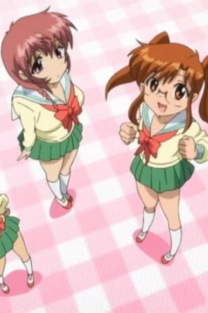 Chu-Bra!! BD Sub Indo : Episode 1 - 12 (End)