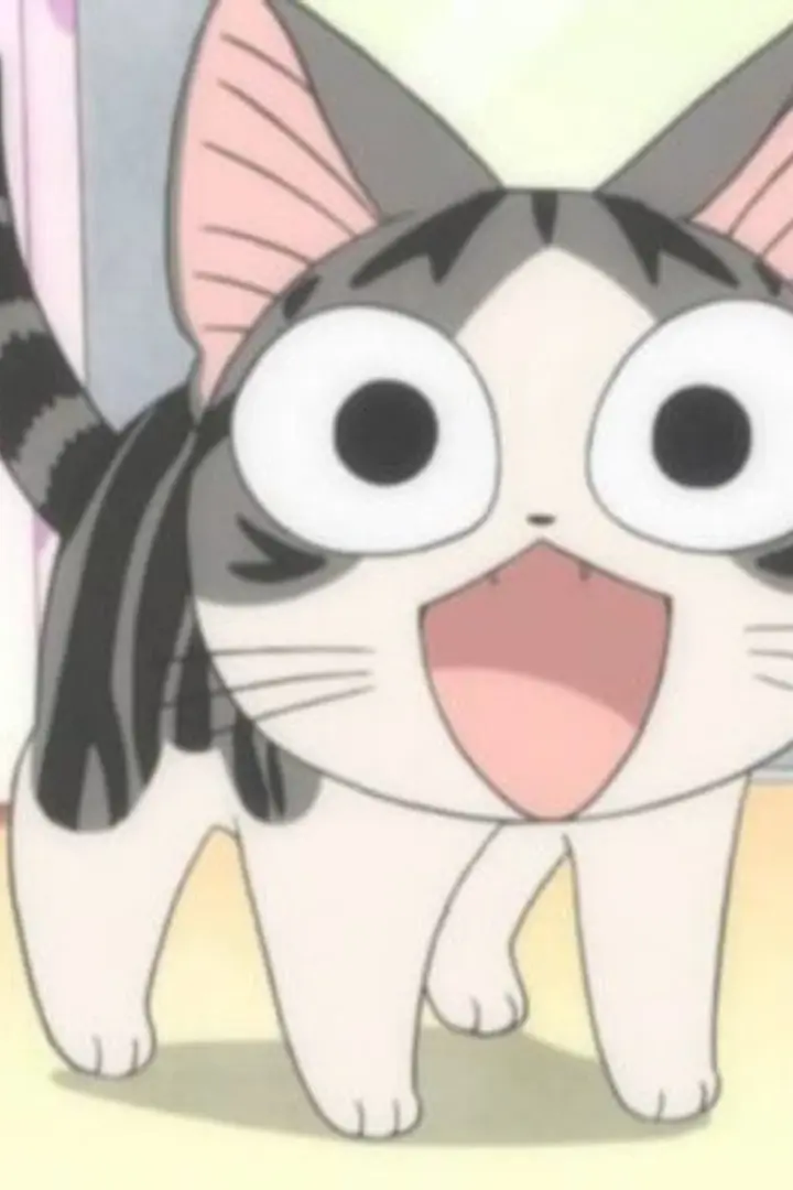 Chi’s Sweet Home BD Sub Indo : Episode 1 - 104 (End)