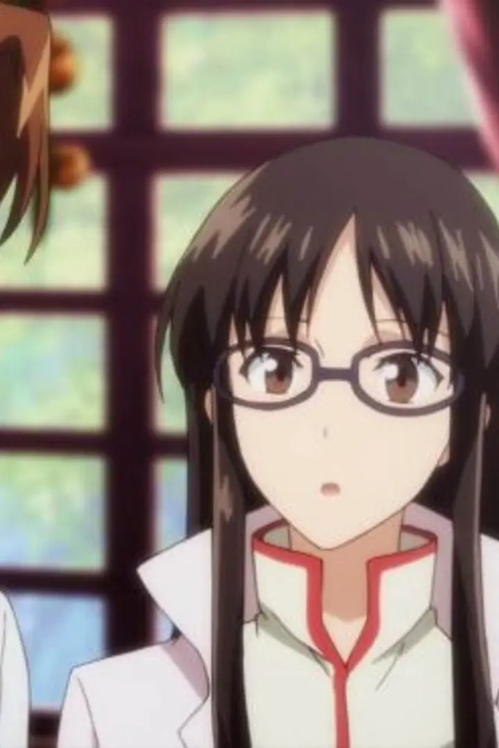 Seijo no Maryoku wa Bannou Desu Sub Indo : Episode 1 - 12 (End)