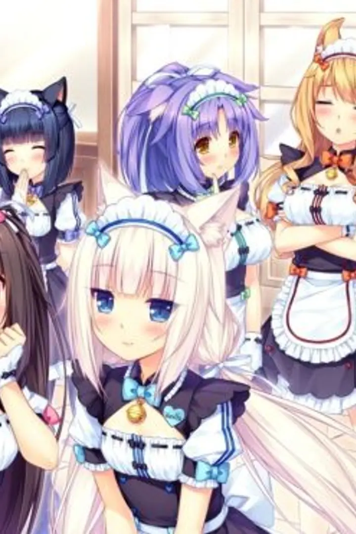 Nekopara OVA Sub Indo