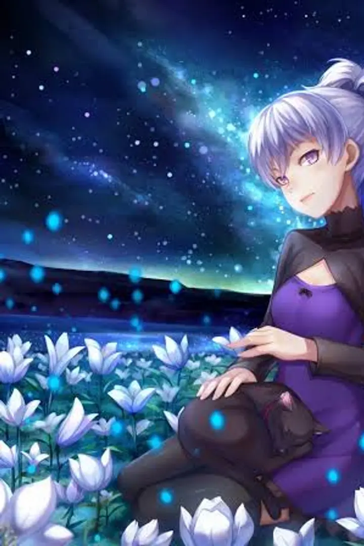 Darker than Black: Kuro no Keiyakusha Sub Indo : Episode 1 - 25 (End) + OVA