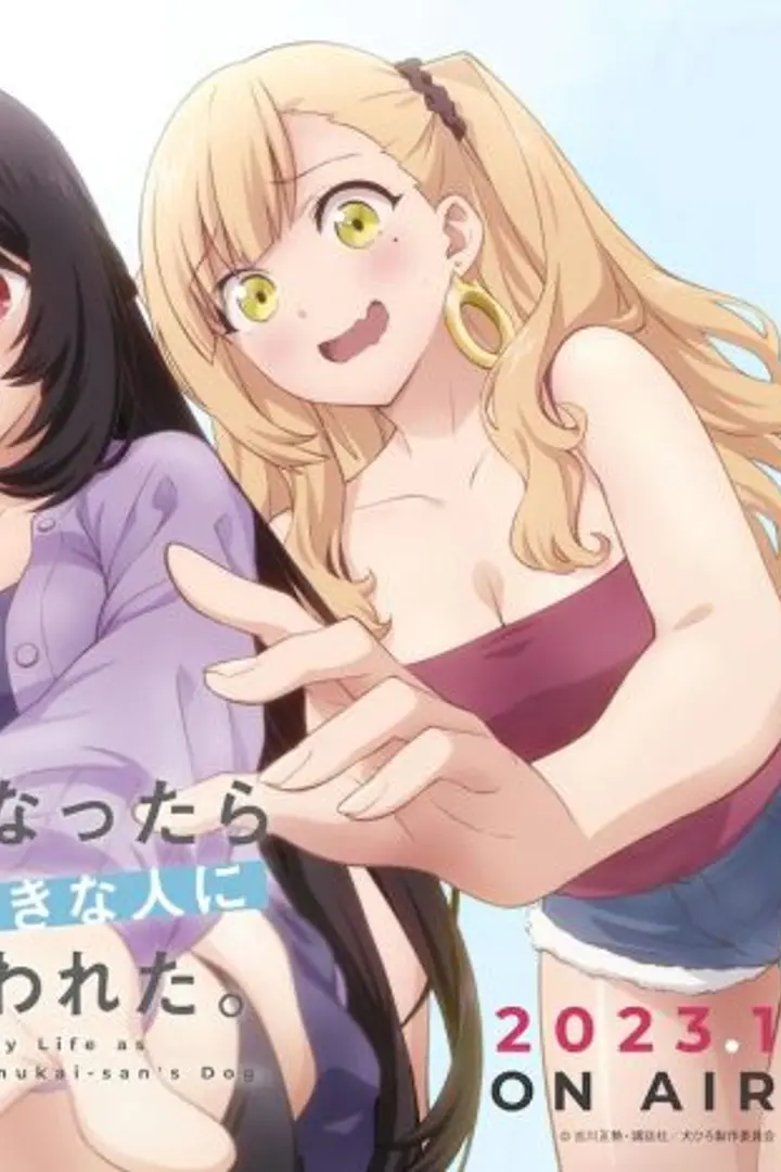 Inu ni Nattara Suki na Hito ni Hirowareta Sub Indo : Episode 1 - 12 (End)