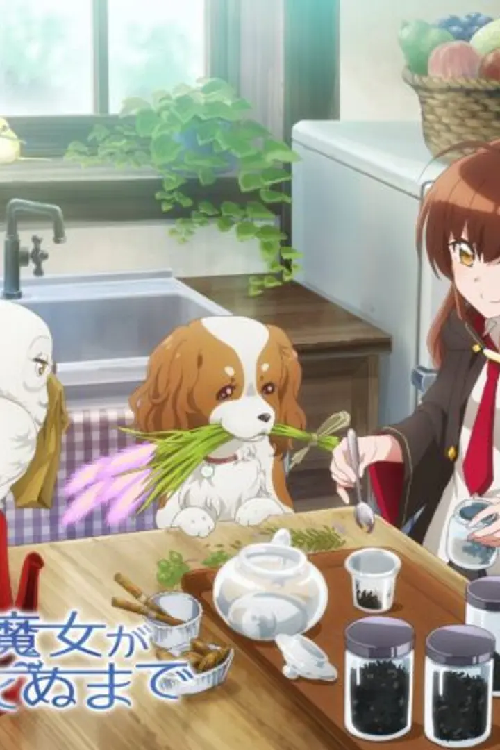 Aru Majo ga Shinu Made Sub Indo : Episode 1 - 12 (End)