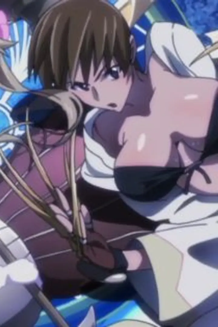 Shikabane Hime: Kuro Sub Indo : Episode 1 - 12 (End)
