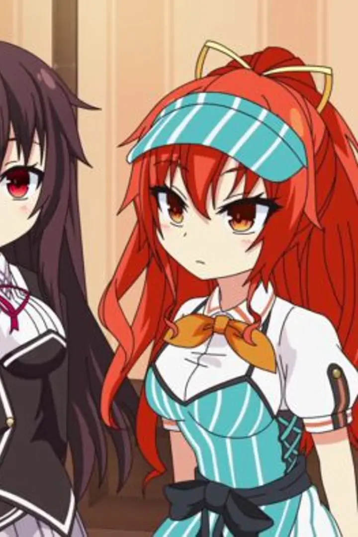 Nora to Oujo to Noraneko Heart Sub Indo : Episode 1 - 12 (End)
