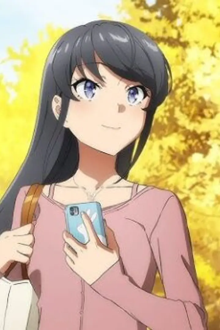 Seishun Buta Yarou wa Santa Claus no Yume wo Minai Sub Indo : Episode 1 - 13 (End)