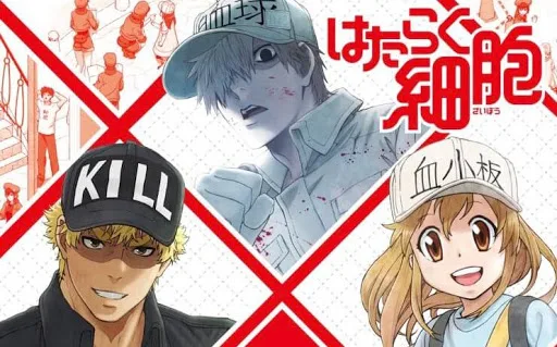 Hataraku Saibou Season 2 Sub Indo : Episode 1 - 8 (End)