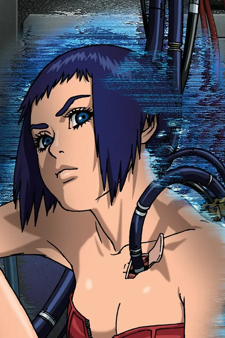 Koukaku Kidoutai Arise: Ghost in the Shell - Border:3 Ghost Tears Sub Indo