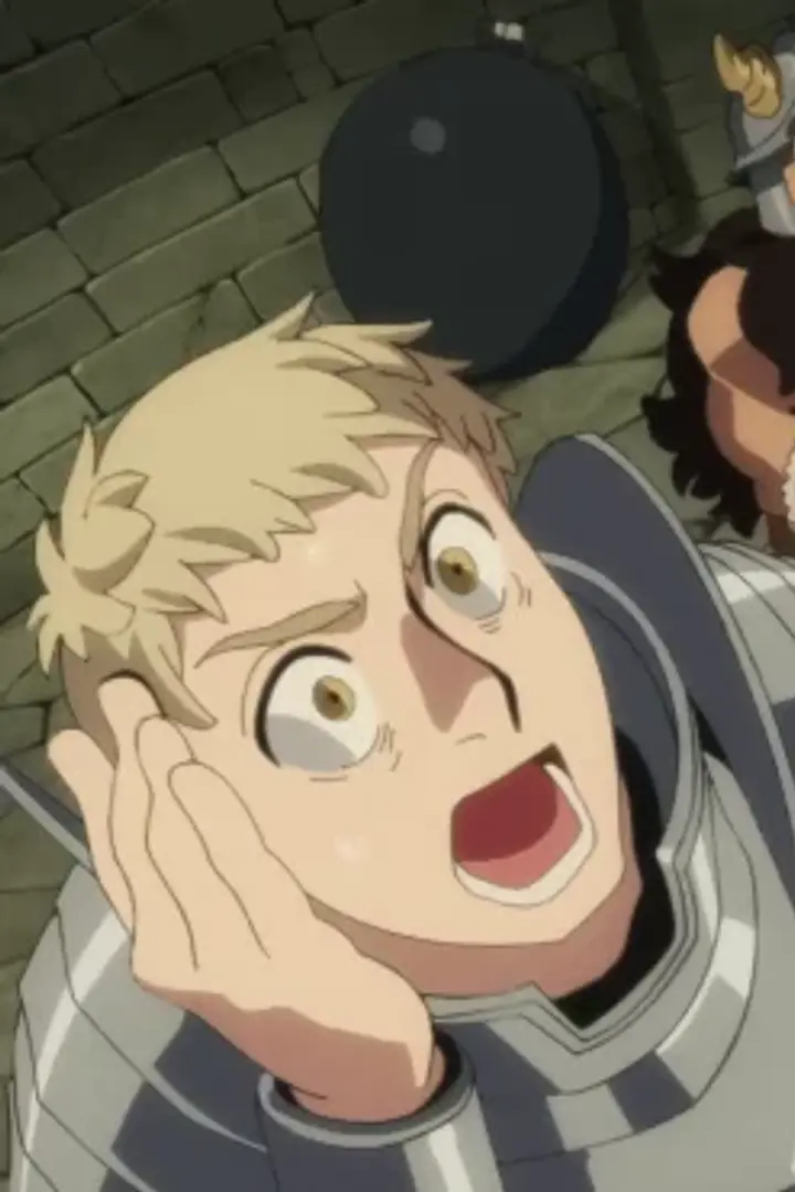 Dungeon Meshi Sub Indo : Episode 1 - 24 (End)