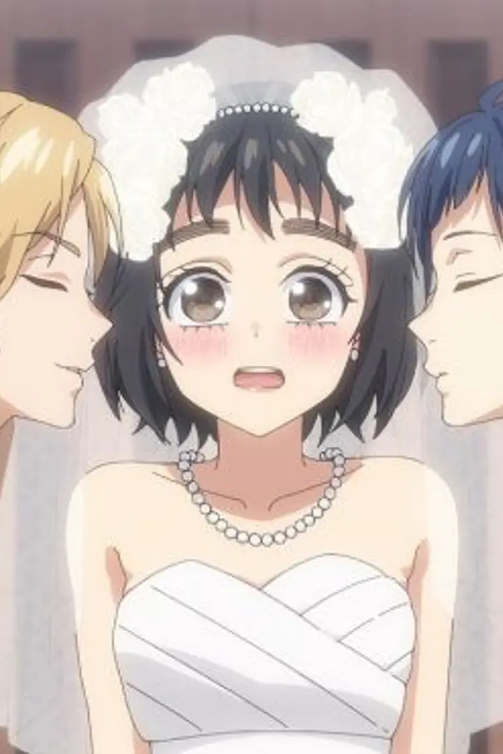 Heroine Tarumono! Kiraware Heroine to Naisho no Oshigoto Sub Indo : Episode 1 - 12 (End)